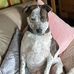 Elaine Mann - Facebook