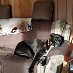 Elaine Mann - @elainemann2671 - Instagram