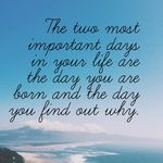 Elaine Mann - @emann618 - Instagram