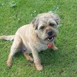 Elaine Mann - @elainemmann - Instagram