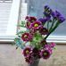Elaine Mann - Facebook