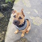 Elaine Maxwell - @maxhead51 - Instagram