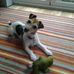 Elaine Maynard - Facebook