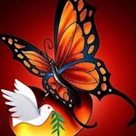 Elaine Mccabe - @emccabe53 - Instagram