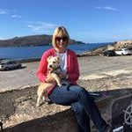 Elaine McCabe - @mccabe6856 - Instagram