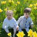 Elaine Meredith - Facebook