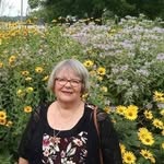 Elaine Meyer - @elaine.meyer.927 - Instagram