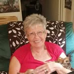 Elaine Meyer Stoddard - @elaine_meyer_stoddard_ - Instagram
