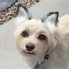 @ElaineMeyer#ColoradoLady - @www.tiktok.cooperlove - TikTok
