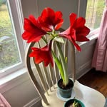 Mary Elaine Mims York - @maryelaineyork - Instagram