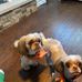 Elaine Needham - Facebook