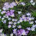 Elaine Needham - Facebook