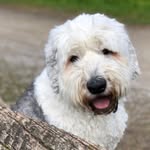 Elaine needham - @elly_need - Instagram