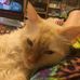 Elaine Patton - Facebook