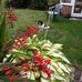 Elaine Pyle - Facebook