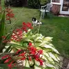 Elaine Pyle - @elaine.pyle - TikTok