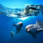 Elaine Read - @elaine.read.739 - Instagram