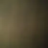 Elaine Reader - @tweetiebirdy - TikTok