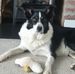 Elaine Reader - Facebook