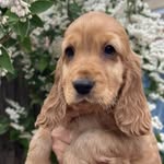 Elaine Reader - @adventures_with_marshall_x - Instagram