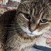 Elaine Reddy - Facebook