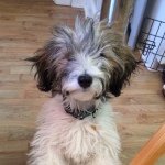 Elaine Reddy - @lainey.14 - Instagram