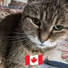 Elaine Reddy - @elaine.reddy8 - TikTok