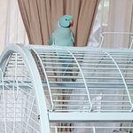 elaine reddy - @elainereddy7 - Instagram
