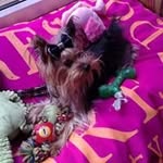 Elaine Redman - @redmanelaine - Instagram