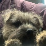 Elaine Rees - @elainerees1 - Instagram