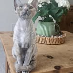 Elaine Rees - @elainejanerees - Instagram