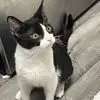 elainereese0 - @elainereese0 - TikTok