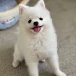 Elaine Ren - @nana.daily.life77 - Instagram