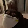 elainerennerwineso - @elainerennerwineso - TikTok