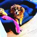 Elaine Repper - Facebook