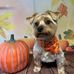 Elaine Retzer - Facebook