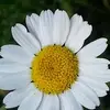 Elaine Rigby - @elaine.rigby7 - TikTok