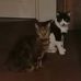 Elaine Riggs - Facebook