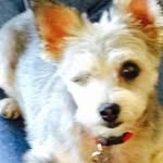 Elaine Riggs Edgington - @elaineedgington - Instagram