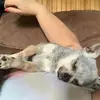 elainerinker5 - @elainerinker5 - TikTok