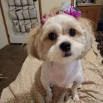 Elaine Brisson - @elaine.brisson.58 - Instagram