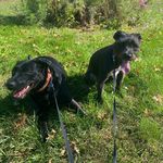 Mystery and Elaine Ritz-Crockett - @mystery_and_elaine - Instagram