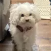 ElaineRoachCEt - @elaineroachcet - TikTok