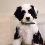 Elaine Robb - @ebrobbbb - Instagram
