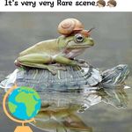 Elaine Robb - @ejr11247 - Instagram