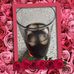 Elaine Robb - Facebook