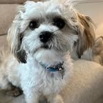 Elaine Robins - @robins_elaine - Instagram