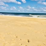 Elaine Robins - @elaine.robins - Instagram
