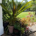 Elaine Sayers - @heelermom1 - Instagram