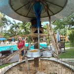 Elaine Schaefer - @elaine.schaefer.180 - Instagram